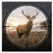 hunting sniper mod coins